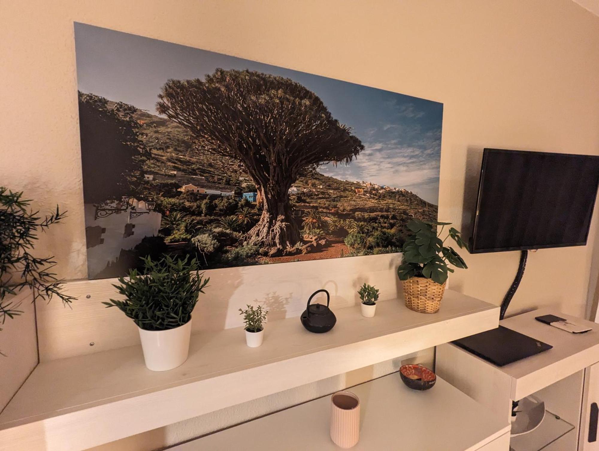 Cozy Residence بويرتو ذي لا كروز المظهر الخارجي الصورة